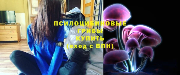 дживик Сосновка