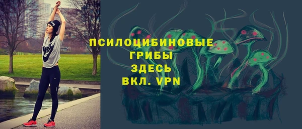 дживик Сосновка