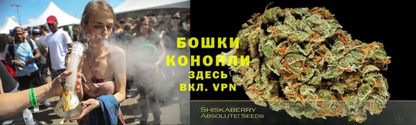 дживик Сосновка