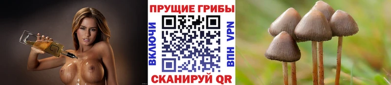 Галлюциногенные грибы MAGIC MUSHROOMS  Купить  Межгорье 